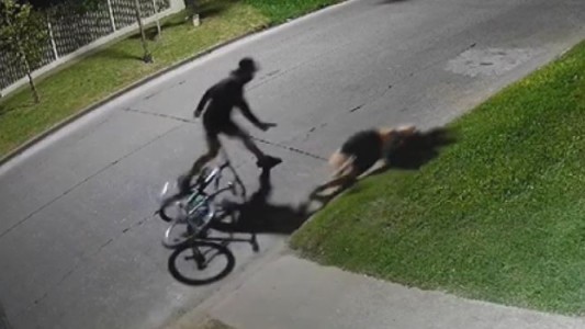 Violento robo en City Bell: empujaron a una chica contra el cordón para sacarle la bicicleta y el celular