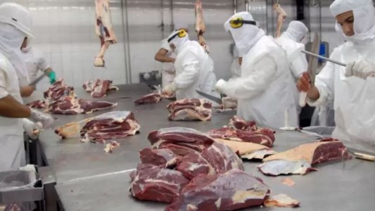 Advierten sobre un brote de “Fiebre Q” en un frigorífico de Entre Ríos