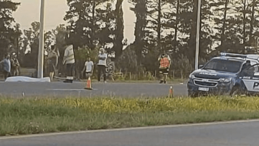 Robó, huyó, mató y se dio a la fuga