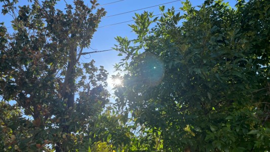 Domingo con ascenso de la temperatura
