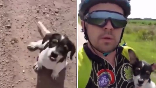 Final feliz para Juanita, la cachorrita rescatada por un ciclista
