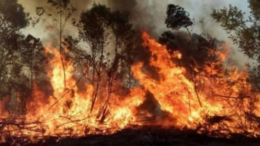 Cómo trabajan pilotos y bomberos cordobeses en los incendios de Corrientes