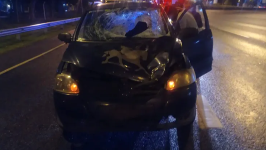 Un joven murió cuando intentó cruzar a pie la Panamericana