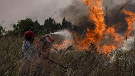 Incendios forestales arrasan la provincia de Corrientes