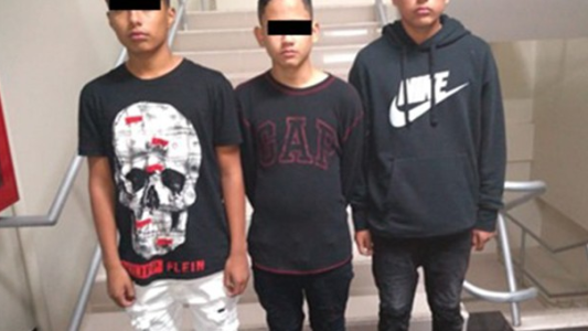 Ladrones que "entran y salen": ¿Cuál es la falla?