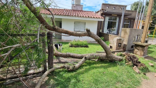 FOTOS: una tormenta provocó destrozos en Sinsacate
