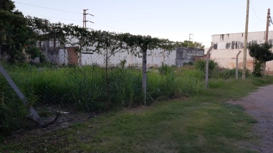 Comienza hoy el juicio por la explosión de la química Raponi