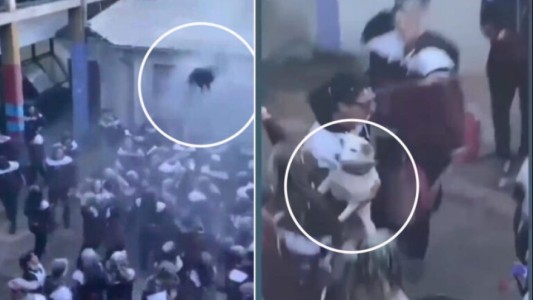 Bronca en Trenque Lauquen por video de alumnos que festejan lanzando animales al aire