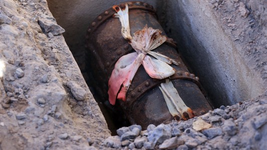 Mito hecho realidad: Hallaron un cofre antiguo en una plaza de Neuquén