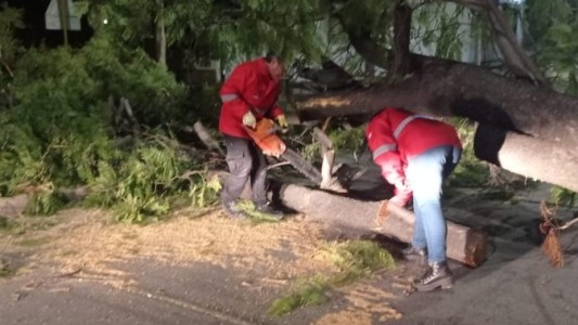 Córdoba: la tormenta produjo destrozos y dejó sin luz a 30 barrios