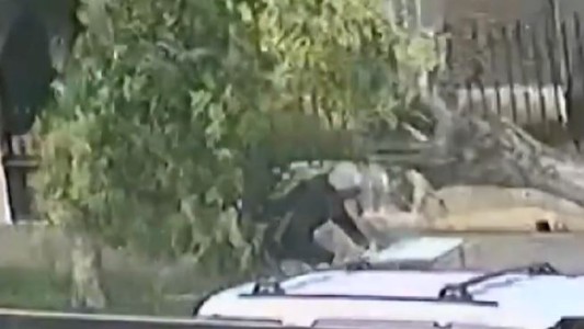 VIDEO: Un árbol cayó sobre un vendedor de churros en Rosario