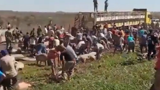 Marcos Juárez: por saqueo de cerdos habrá imputaciones