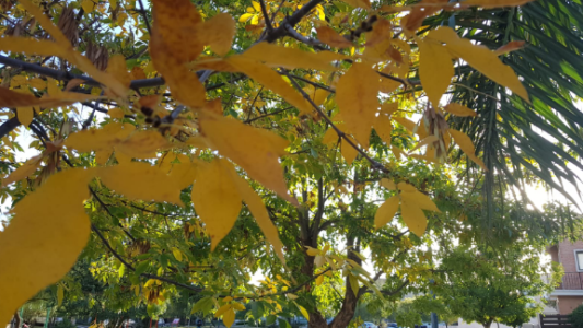 Buen tiempo, ascenso de temperatura, máxima de 28°
