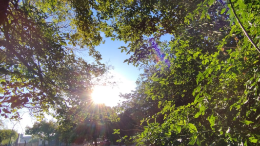 Jornada templada, ascenso de temperatura, máxima de 29°