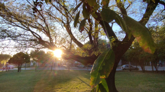 Cálido, algo nublado, ascenso de temperatura, máxima de 28°