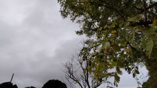 Lunesfrescoeinestable