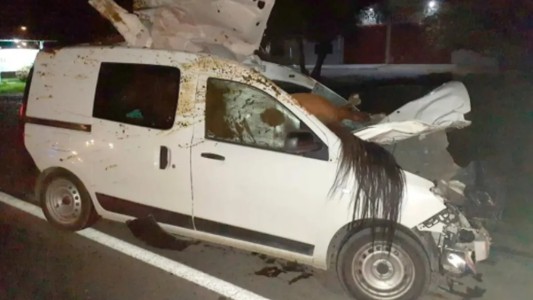 Impactante choque: un caballo quedó incrustado en su camioneta