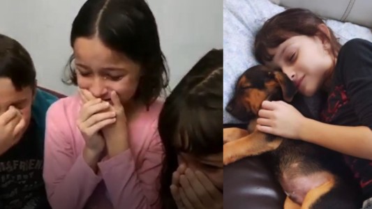 La emoción de unos hermanitos al enterarse que tendrán un nuevo perro