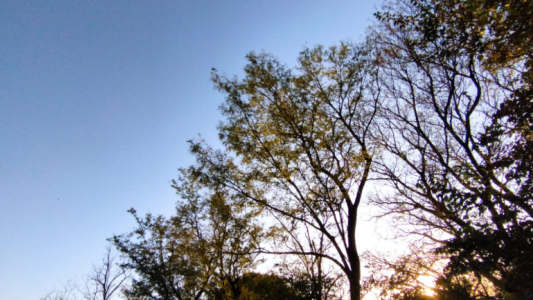 Caluroso, húmedo, viento norte, máxima 32°