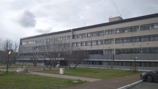 Universidad de La Plata otorgará el primer título "no binarie"