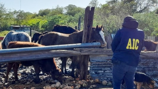 Cómo era por dentro la casa del "Viejo" Cantero: gallos de riña, caballos y su admiración por Scarface