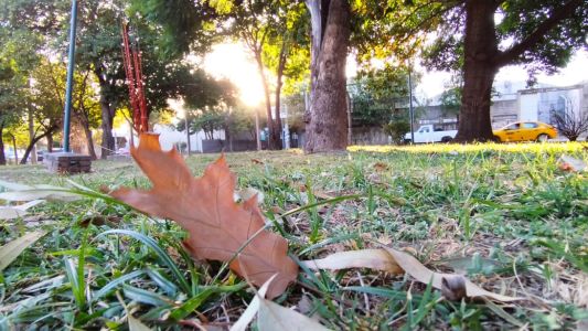 El pronostico por Gerardo Barrera para lo que resta semana y una perlita para el lunes