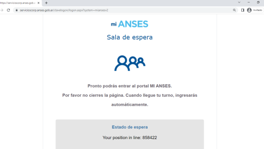 Refuerzo de ingresos Anses: es “eterna” la espera en la página web