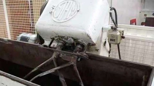 Mar del Plata: se le enganchó la bufanda en la máquina amasadora y murió asfixiada