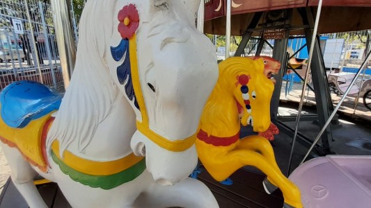 Iniciativa solidaria e inclusiva: calesitas para todos