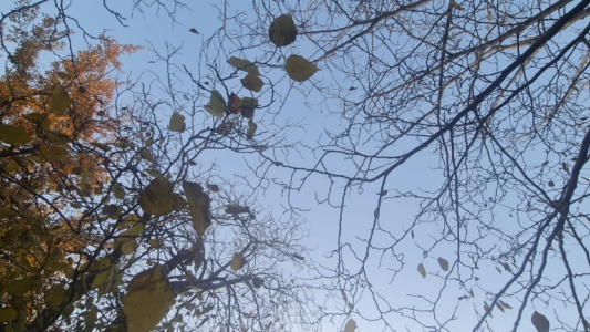 Fresco por la mañana, parcialmente nublado, ascenso de temperatura, máxima 20°
