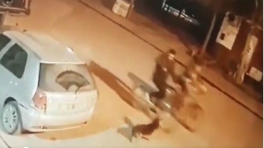 Crueldad: iban en bicicleta, un perro les ladró y lo mataron de un balazo