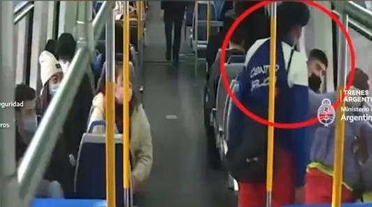 Video: agredió a una mujer en el tren y fue detenida