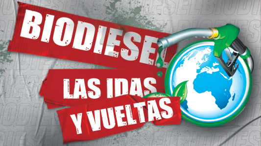 Biodiesel: ¿de qué y cómo se hace?