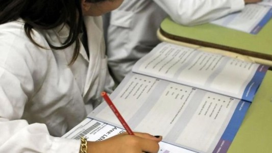 Aprender 2021: la pandemia profundizó las brechas de aprendizaje y cayeron 20 puntos porcentuales los resultados en Lengua