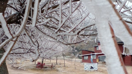 Fotos: Los Gigantes se cubrieron de blanco