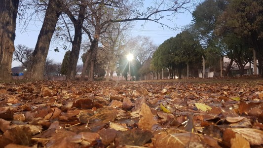 Frío, lluvias, aumento moderado de temperatura, máxima 16°