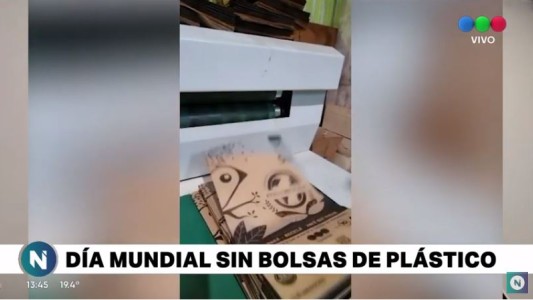 Llega el 3 de julio: Día Mundial sin Bolsas de Plástico