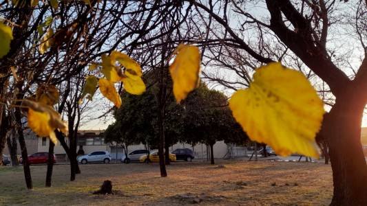 Tiempo en Córdoba: fresco por la mañana y soleado con una máxima de 17°