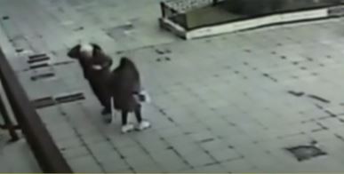 Guillermo Coppola recibió un palazo en la cabeza mientras se tomaba una selfie con una fan