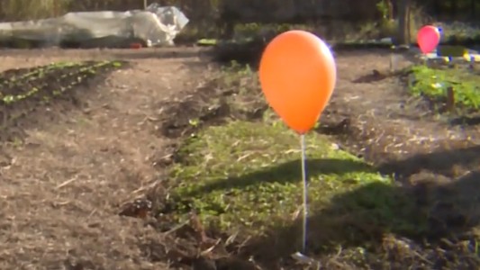 Alumnos de la escuela especial Ckari Cay se capacitan en las huertas de la UNC