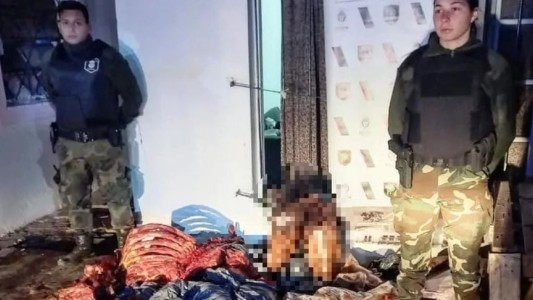 Hamburguesas de caballo: clausuraron un matadero clandestino en González Catán