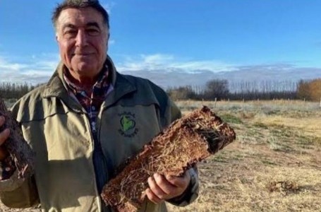 En Neuquén fabrican leña ecológica con restos de fruta