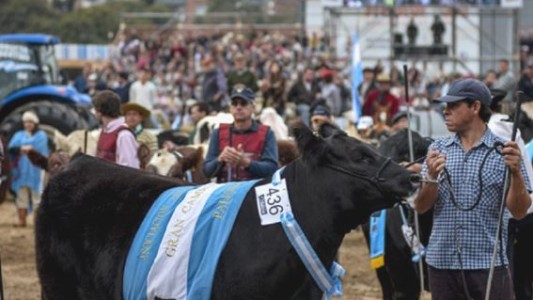 Comienza la Exposición Rural: la inauguración incluirá un show de drones y luces