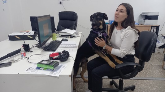 Una empresa de Córdoba permite a sus empleados ir a trabajar con mascotas