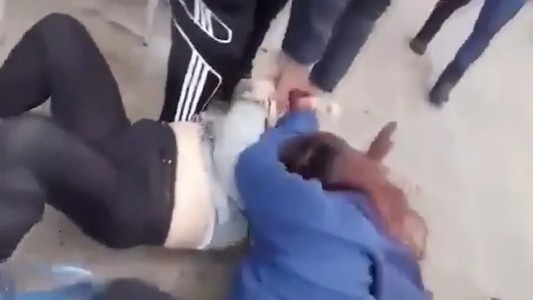 Video: pelea de perros terminó con las dueñas a las trompadas