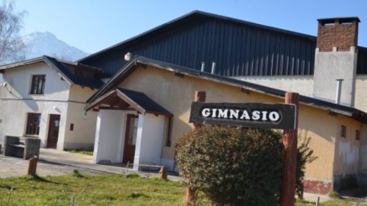 Mujer esperaba en el auto mientras sus hijos menores robaban