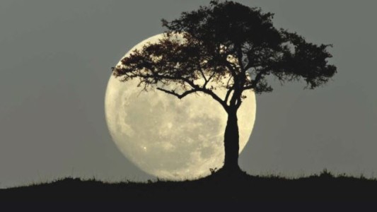 Cuándo y dónde se podrá ver la última Superluna del año