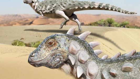 Presentaron a Jakapil, el nuevo dinosaurio acorazado descubierto en Río Negro