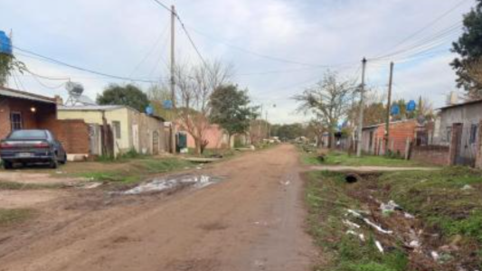 Balean a un perro que mordió a un nene de 12 años