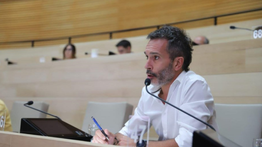 Muerte de bebés: legislador radical habla de “cinco asesinatos”